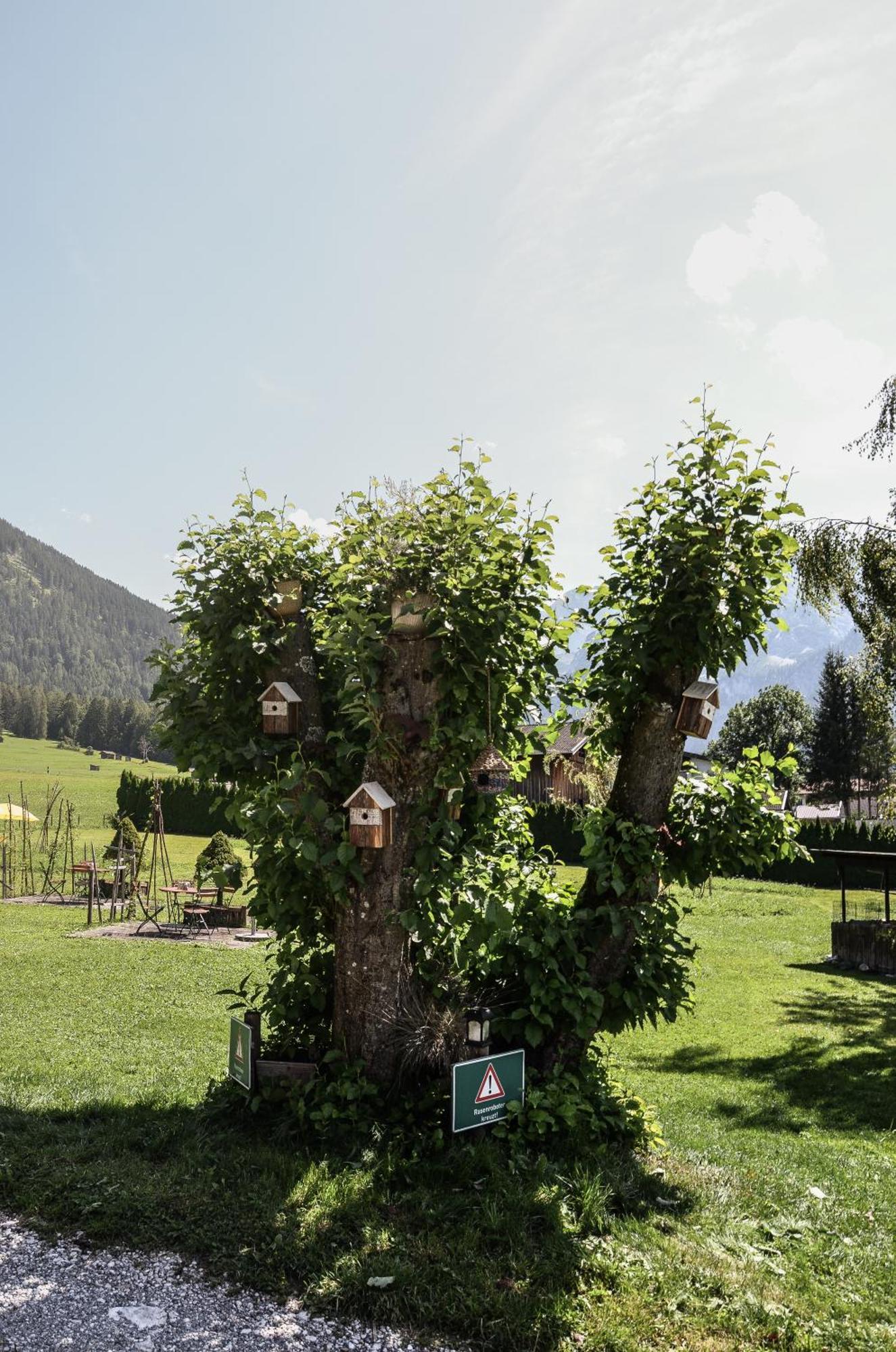 Hotel Ehrwalderhof Esterno foto